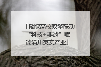 豫陕高校双擎联动 “科技+非遗”赋能潢川芡实产业