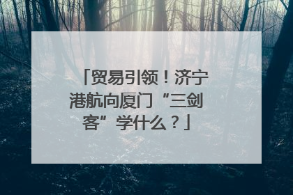 贸易引领！济宁港航向厦门“三剑客”学什么？