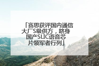 赛思获评国内通信大厂S级供方，跻身国产SLIC语音芯片领军者行列