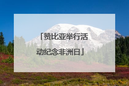 赞比亚举行活动纪念非洲日