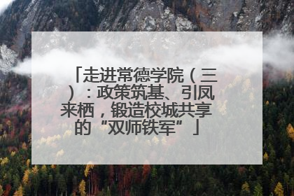 走进常德学院（三）：政策筑基、引凤来栖，锻造校城共享的“双师铁军”