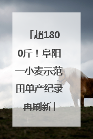 超1800斤！阜阳一小麦示范田单产纪录再刷新
