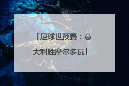 足球世预赛：意大利胜摩尔多瓦