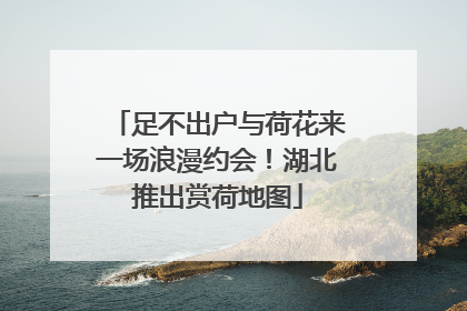 足不出户与荷花来一场浪漫约会！湖北推出赏荷地图