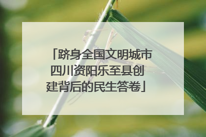 跻身全国文明城市 四川资阳乐至县创建背后的民生答卷