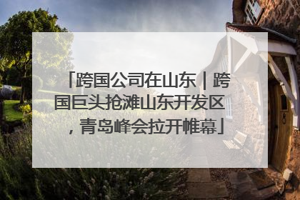 跨国公司在山东｜跨国巨头抢滩山东开发区，青岛峰会拉开帷幕