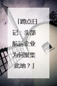 蹲点日记：头部航运企业为何聚集此地？