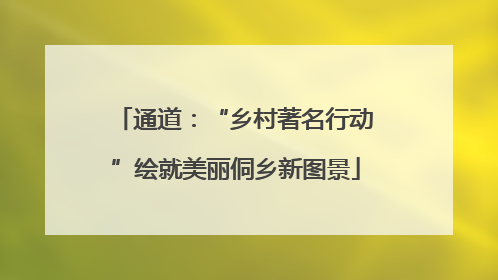 通道：“乡村著名行动”绘就美丽侗乡新图景