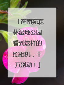 逛南苑森林湿地公园看到这样的照相机，千万别动！
