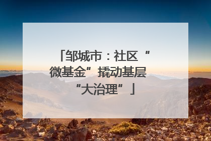 邹城市：社区“微基金”撬动基层“大治理”