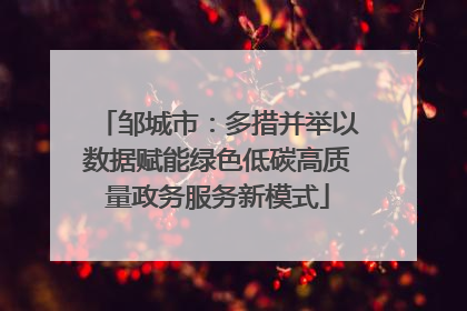 邹城市：多措并举以数据赋能绿色低碳高质量政务服务新模式