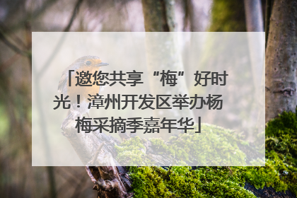 邀您共享“梅”好时光！漳州开发区举办杨梅采摘季嘉年华
