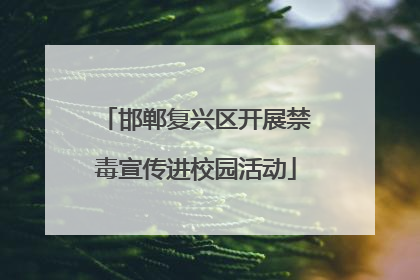 邯郸复兴区开展禁毒宣传进校园活动