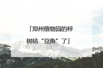 郑州植物园的梓树结“豆角”了