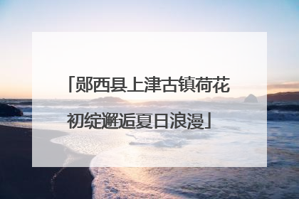 郧西县上津古镇荷花初绽邂逅夏日浪漫