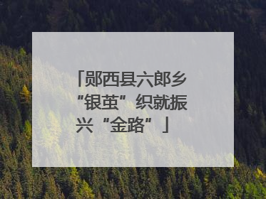 郧西县六郎乡“银茧”织就振兴“金路”