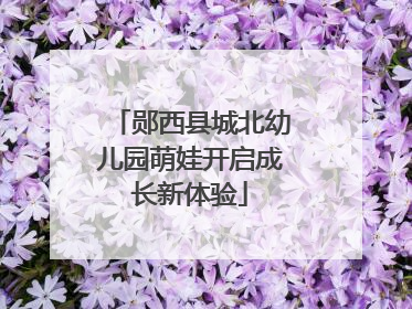 郧西县城北幼儿园萌娃开启成长新体验