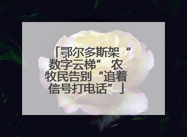 鄂尔多斯架“数字云梯” 农牧民告别“追着信号打电话”