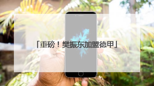 重磅！樊振东加盟德甲