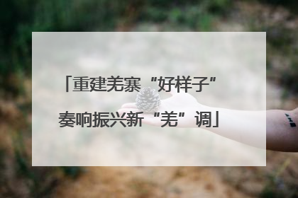 重建羌寨“好样子” 奏响振兴新“羌”调