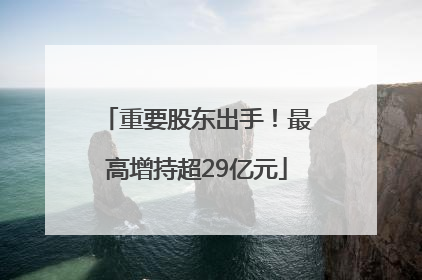 重要股东出手！最高增持超29亿元
