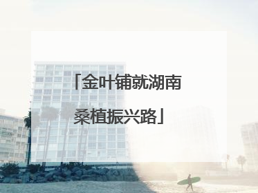 金叶铺就湖南桑植振兴路