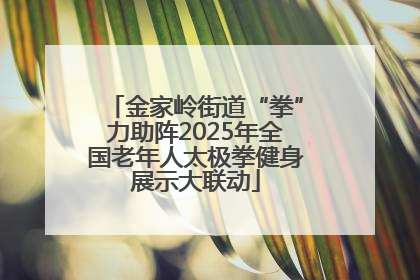 金家岭街道“拳”力助阵2025年全国老年人太极拳健身展示大联动