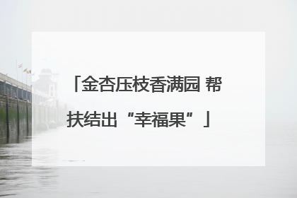 金杏压枝香满园 帮扶结出“幸福果”