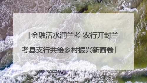 金融活水润兰考 农行开封兰考县支行共绘乡村振兴新画卷