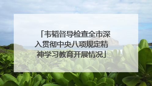 韦韬督导检查全市深入贯彻中央八项规定精神学习教育开展情况