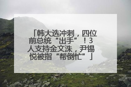 韩大选冲刺，四位前总统“出手”！3人支持金文洙，尹锡悦被指“帮倒忙”