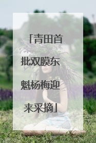 青田首批双膜东魁杨梅迎来采摘