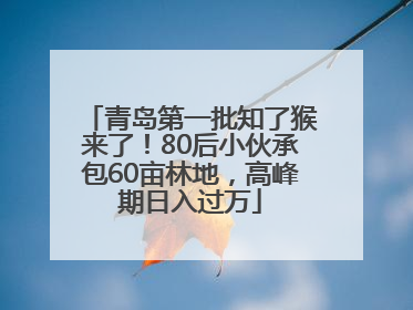 青岛第一批知了猴来了！80后小伙承包60亩林地，高峰期日入过万