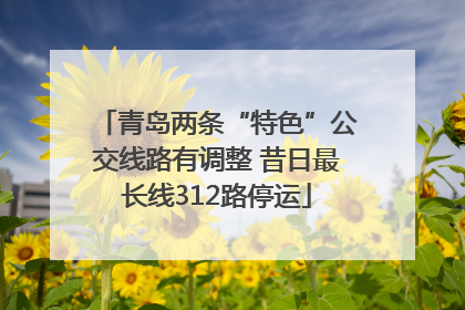 青岛两条“特色”公交线路有调整 昔日最长线312路停运