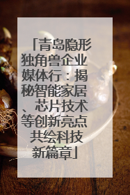 青岛隐形独角兽企业媒体行：揭秘智能家居、芯片技术等创新亮点 共绘科技新篇章