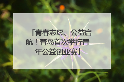 青春志愿、公益启航！青岛首次举行青年公益创业赛