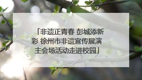 非遗正青春 彭城添新彩 徐州市非遗宣传展演主会场活动走进校园