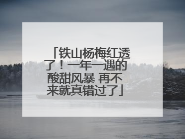 铁山杨梅红透了！一年一遇的酸甜风暴 再不来就真错过了