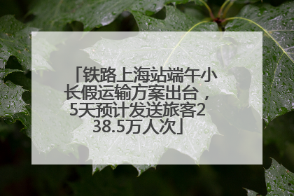 铁路上海站端午小长假运输方案出台，5天预计发送旅客238.5万人次