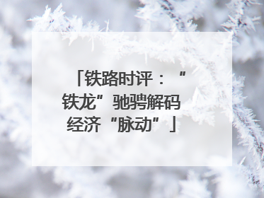 铁路时评：“铁龙”驰骋解码经济“脉动”