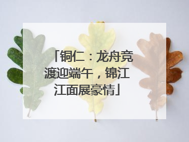 铜仁：龙舟竞渡迎端午，锦江江面展豪情