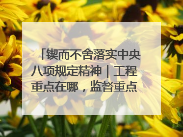 锲而不舍落实中央八项规定精神｜工程重点在哪，监督重点就在哪——广西深化政治监督护航平陆运河建设