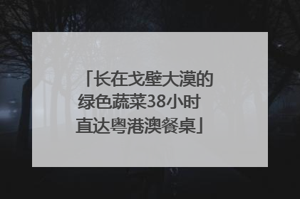 长在戈壁大漠的绿色蔬菜38小时直达粤港澳餐桌
