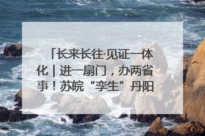 长来长往·见证一体化｜进一扇门，办两省事！苏皖“孪生”丹阳如何做到的？