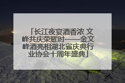 长江夜宴酒香浓 文峰共庆荣耀时——金文峰酒亮相湖北省庆典行业协会十周年盛典