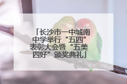 长沙市一中城南中学举行“五四”表彰大会暨“五美四好”颁奖典礼