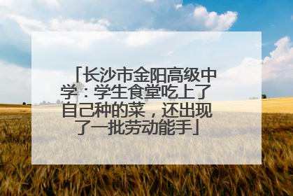 长沙市金阳高级中学：学生食堂吃上了自己种的菜，还出现了一批劳动能手