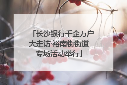 长沙银行千企万户大走访·裕南街街道专场活动举行