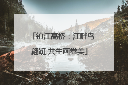 镇江高桥：江畔鸟翩跹 共生画卷美