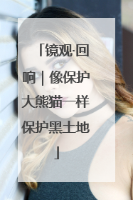 镜观·回响｜像保护大熊猫一样保护黑土地